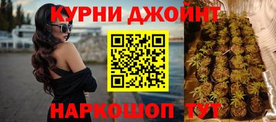 мяу мяу мука Будённовск