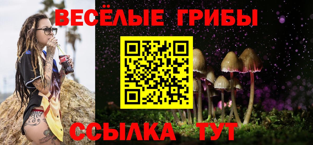 Псилоцибиновые грибы Psilocybine cubensis  Вход с VPN  Ханты-Мансийск 